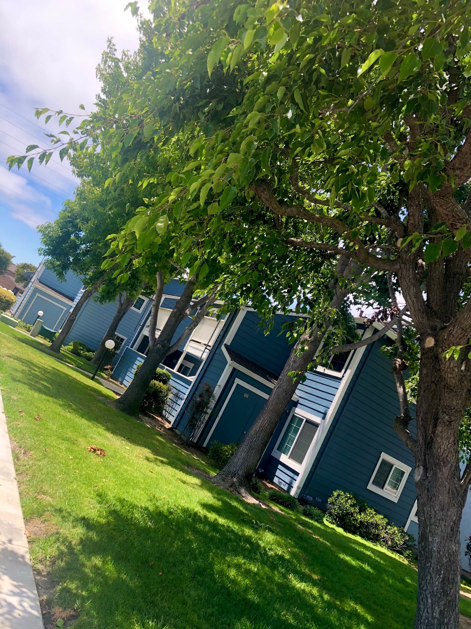 Mariner Village Apartments, 404 Rico St, Salinas, CA - RENTCafé