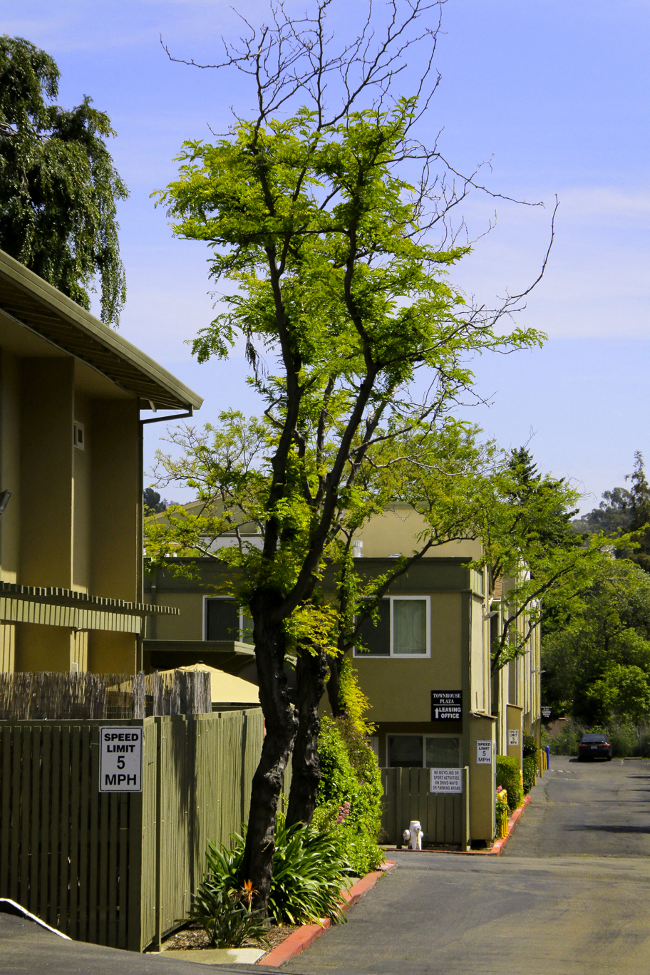 Driveway into property