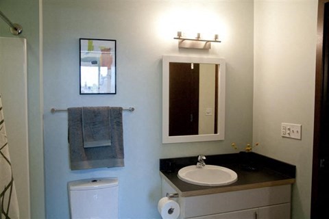 a bathroom with a sink and a mirror and a toilet
