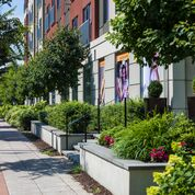 a sidewalk with trees and plants in front of a building