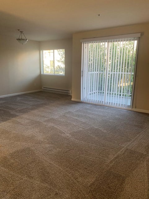 a living room with carpet and a sliding glass door