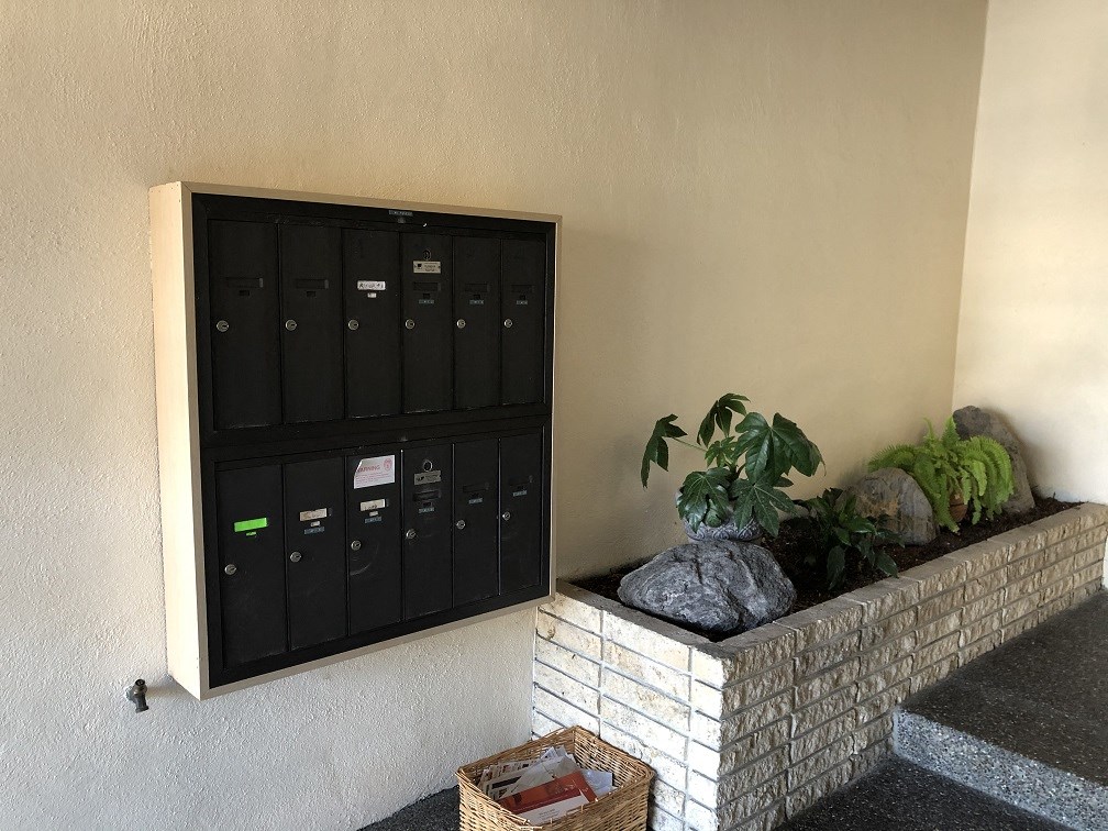 a home with a plant and mailboxes on the wall