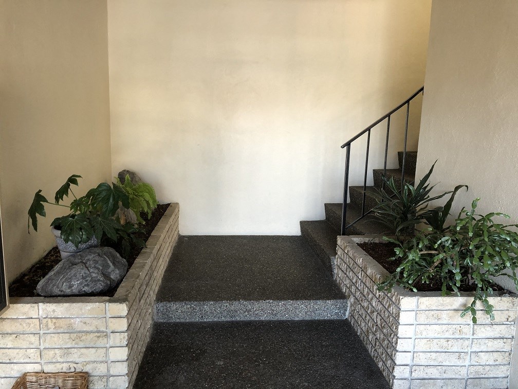 a stairway with plants on the side of it