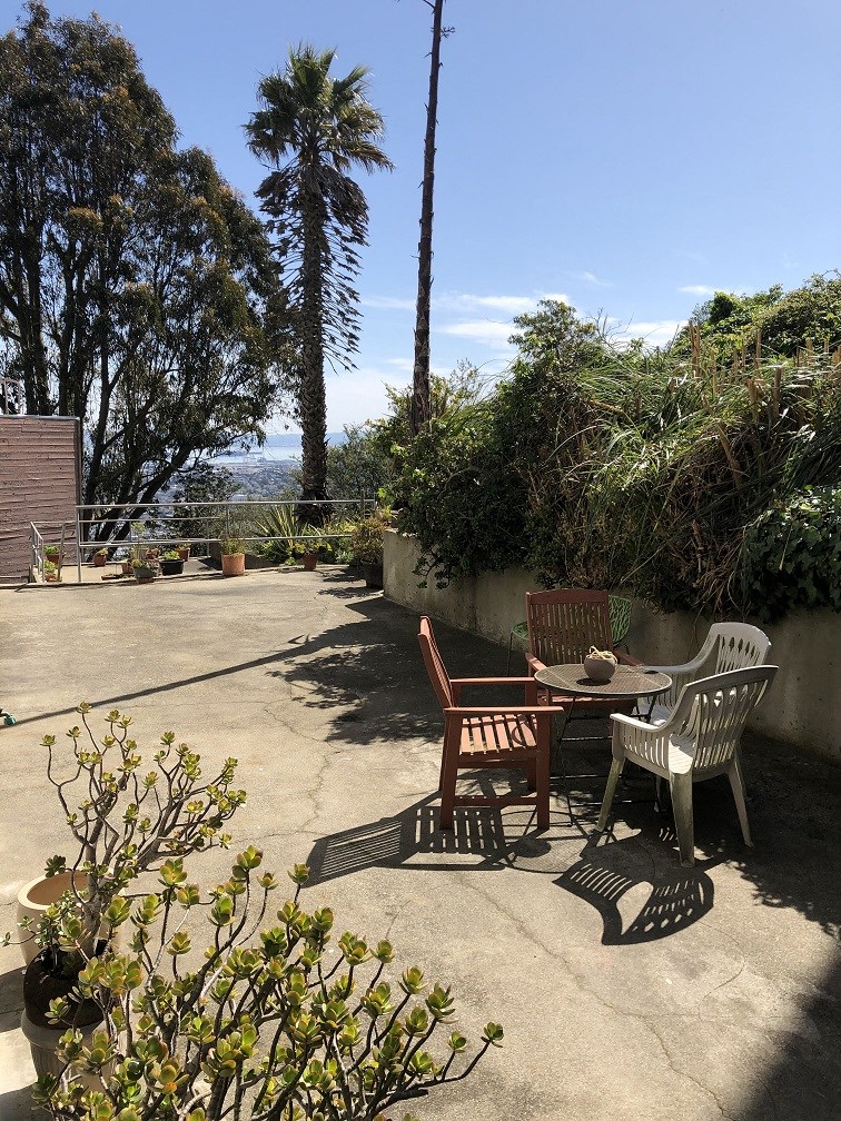 a patio with a table and chairs and a palm tree