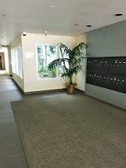 an empty hallway with a plant in the middle