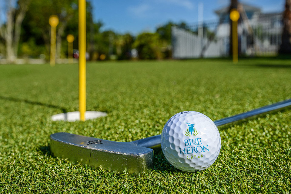 a golf ball and a club on the grass