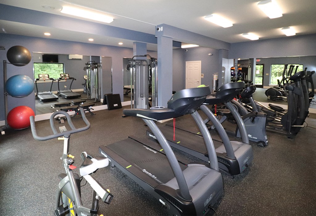 a gym with cardio equipment and weights in a wellness center
