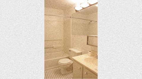 a bathroom with a toilet and a sink and a mirror