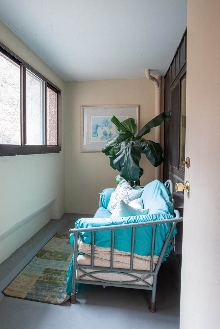 a room with a chair and a plant in it