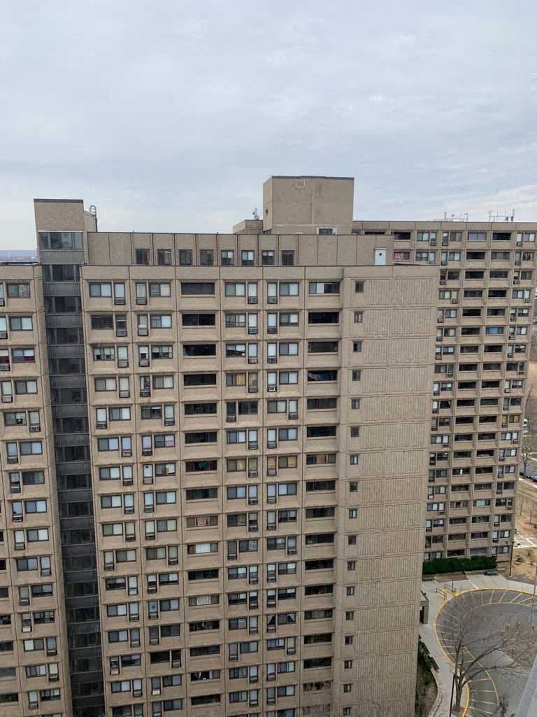311 Eastern Street Studio-2 Beds Apartment for Rent - Photo Gallery