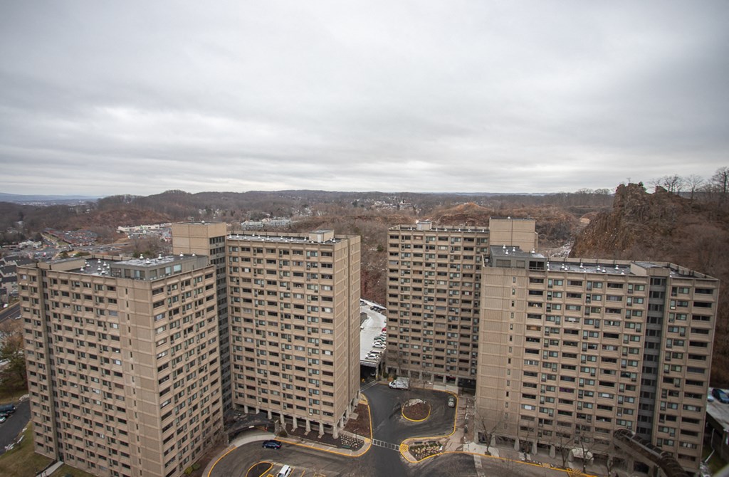 a view of a city with tall buildings and a mountain in the background