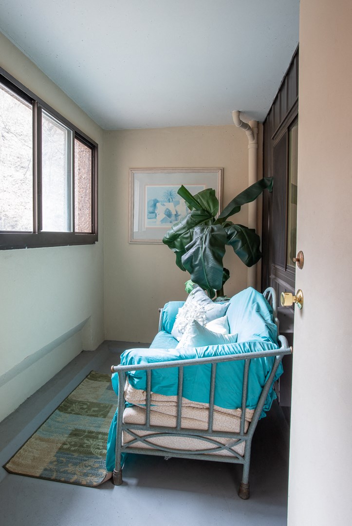 a room with a chair and a plant in it