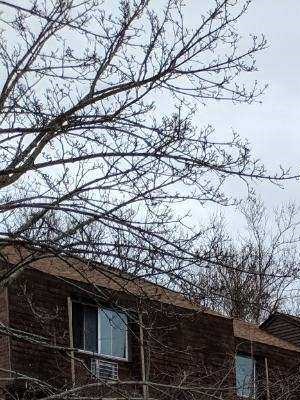 435 Bradley Avenue 1-3 Beds Apartment for Rent - Photo Gallery