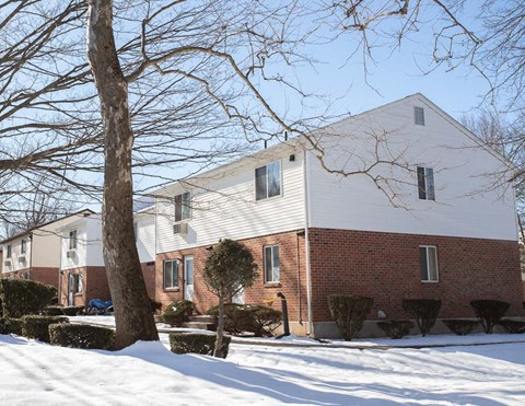 a white house with a tree in the snow
