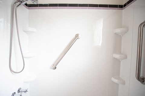 a shower with a hand rail in a bathroom
