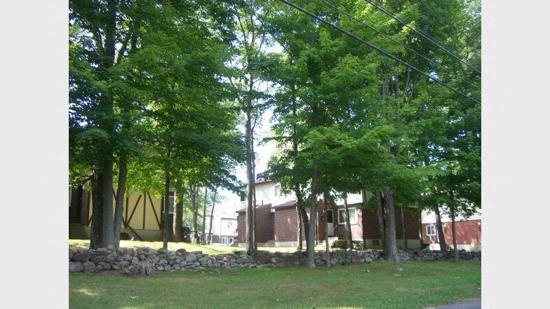 a stone wall and trees in front of a house
