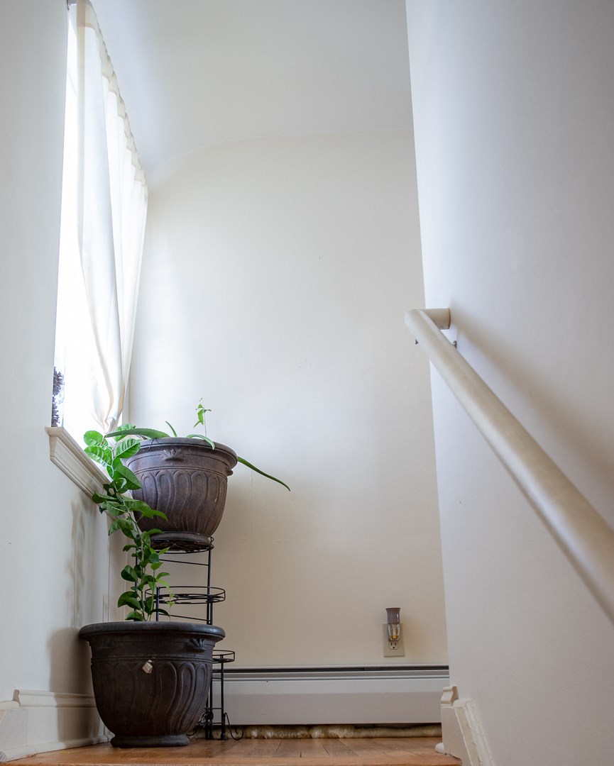 a stairwell with two potted plants next to a window