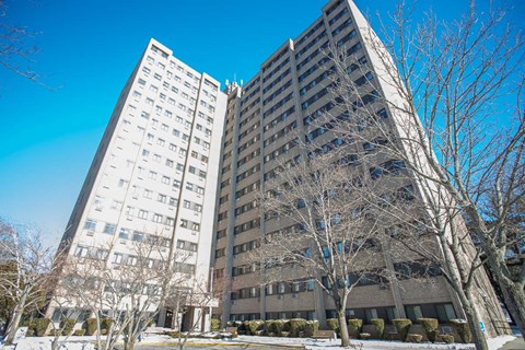 two tall buildings with trees in the snow