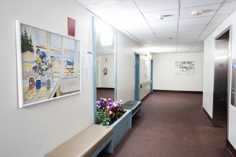 a hallway with benches and paintings on the wall and a table with flowers