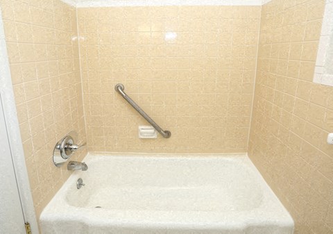 a bathroom with a tub and a hand rail in it