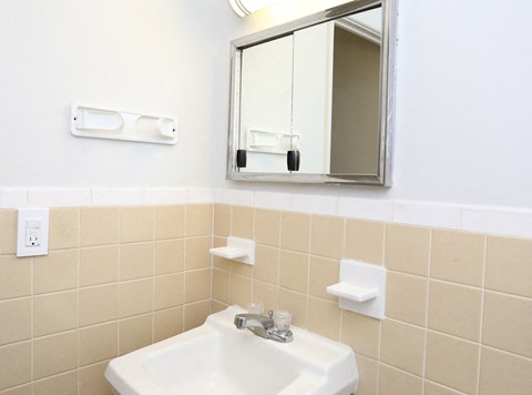 a bathroom with a sink and a mirror
