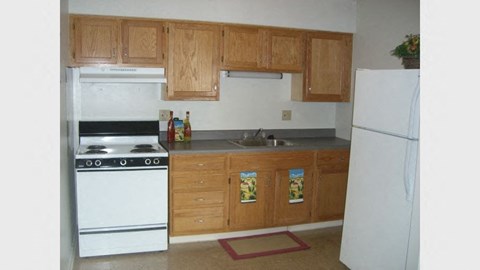 a kitchen with a stove refrigerator and a sink