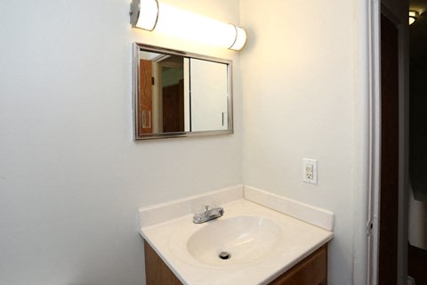 a bathroom with a sink and a mirror