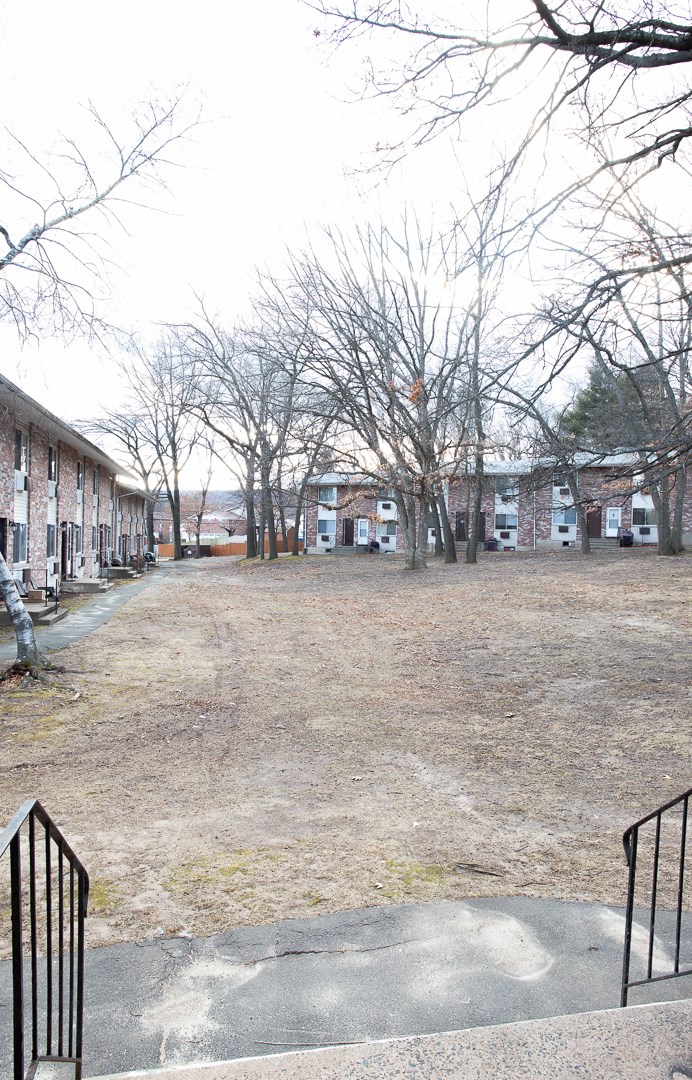 a yard with trees and buildings on the side of a street