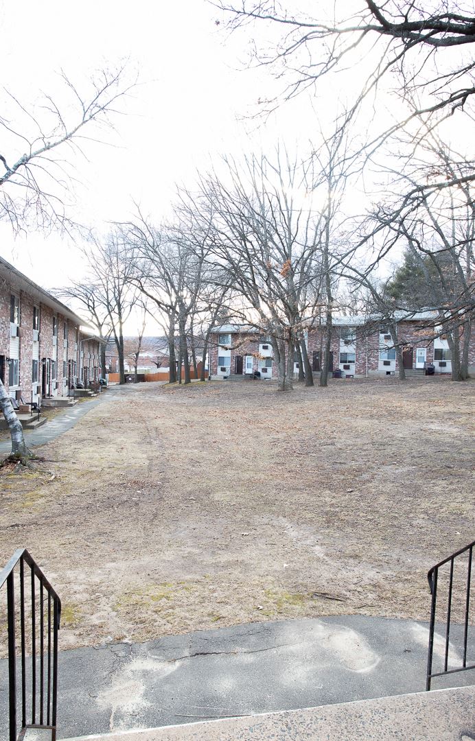 a yard with trees and buildings on the side of a street
