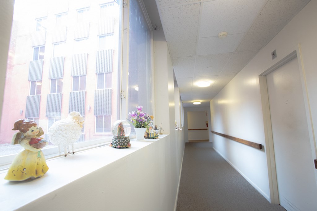 a long white corridor with stuffed animals on a window sill