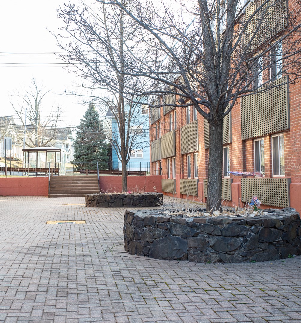 a park with trees and a brick sidewalk in front of a brick building