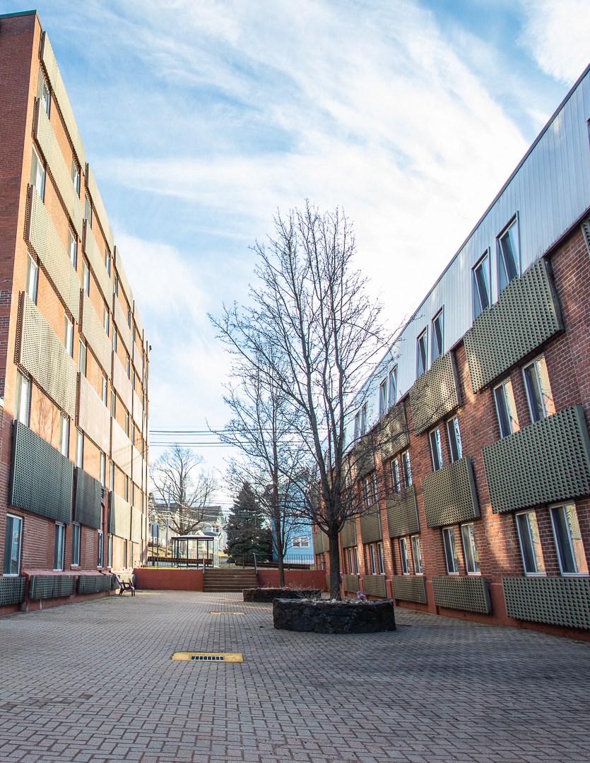 a courtyard between two buildings with a tree in the middle