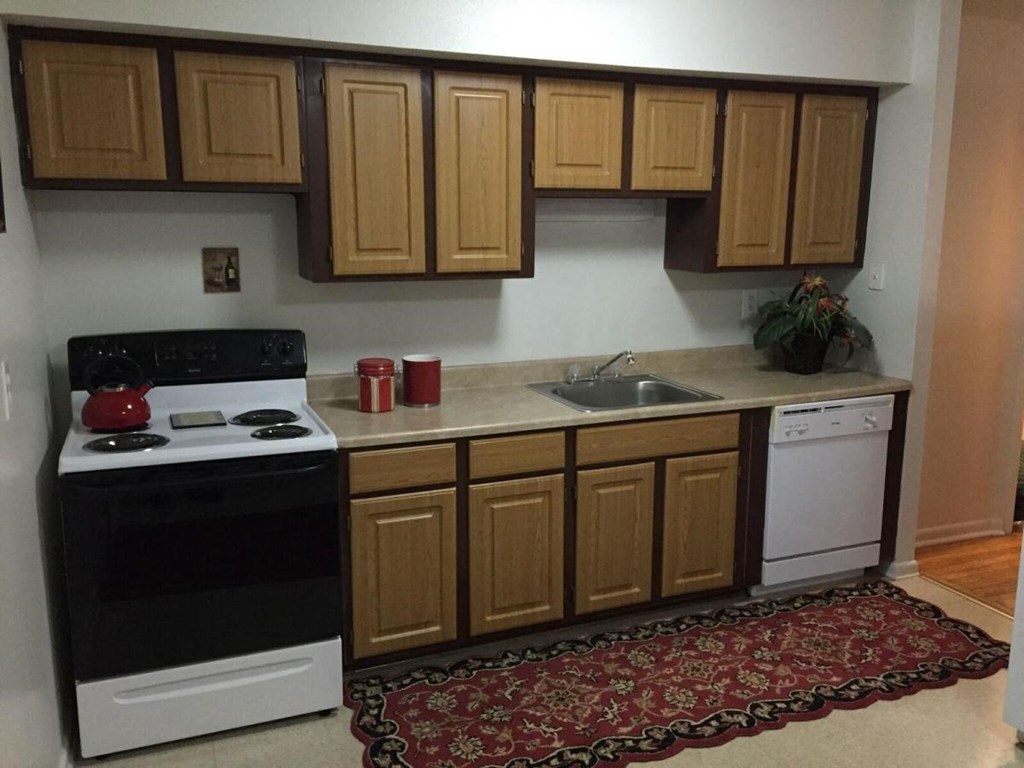 a kitchen with a stove and sink and a rug
