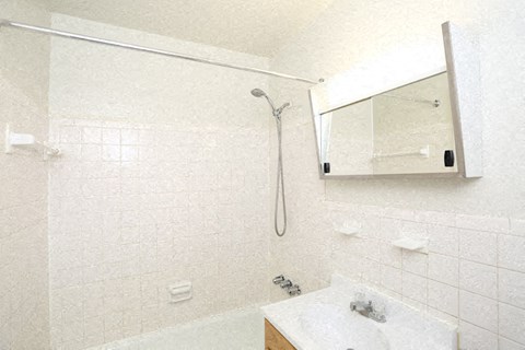 a bathroom with a shower and a sink and a mirror