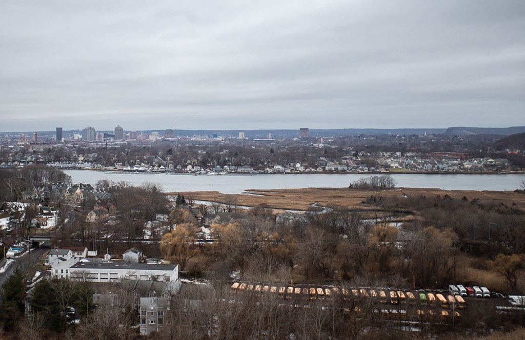 a view of a city with a river and a train