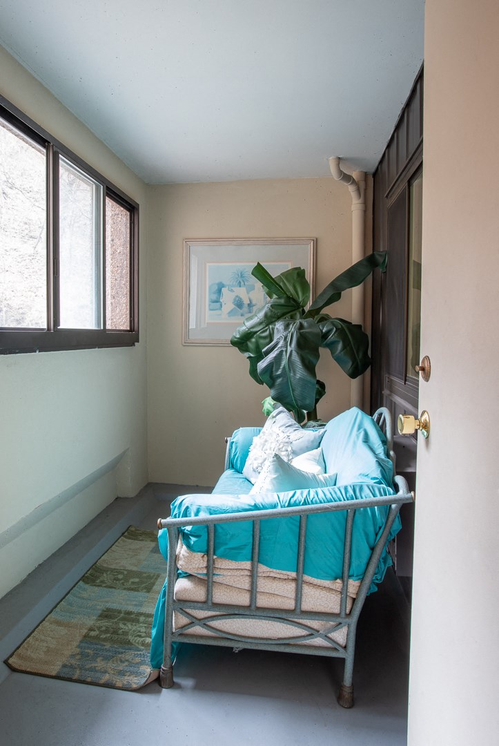 a room with a chair and a plant in it