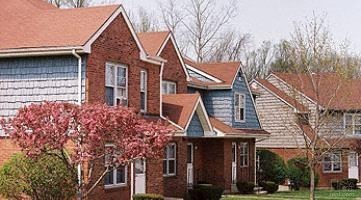 a row of houses with red trees in front of them