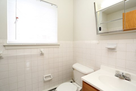 a bathroom with a toilet and a sink and a window