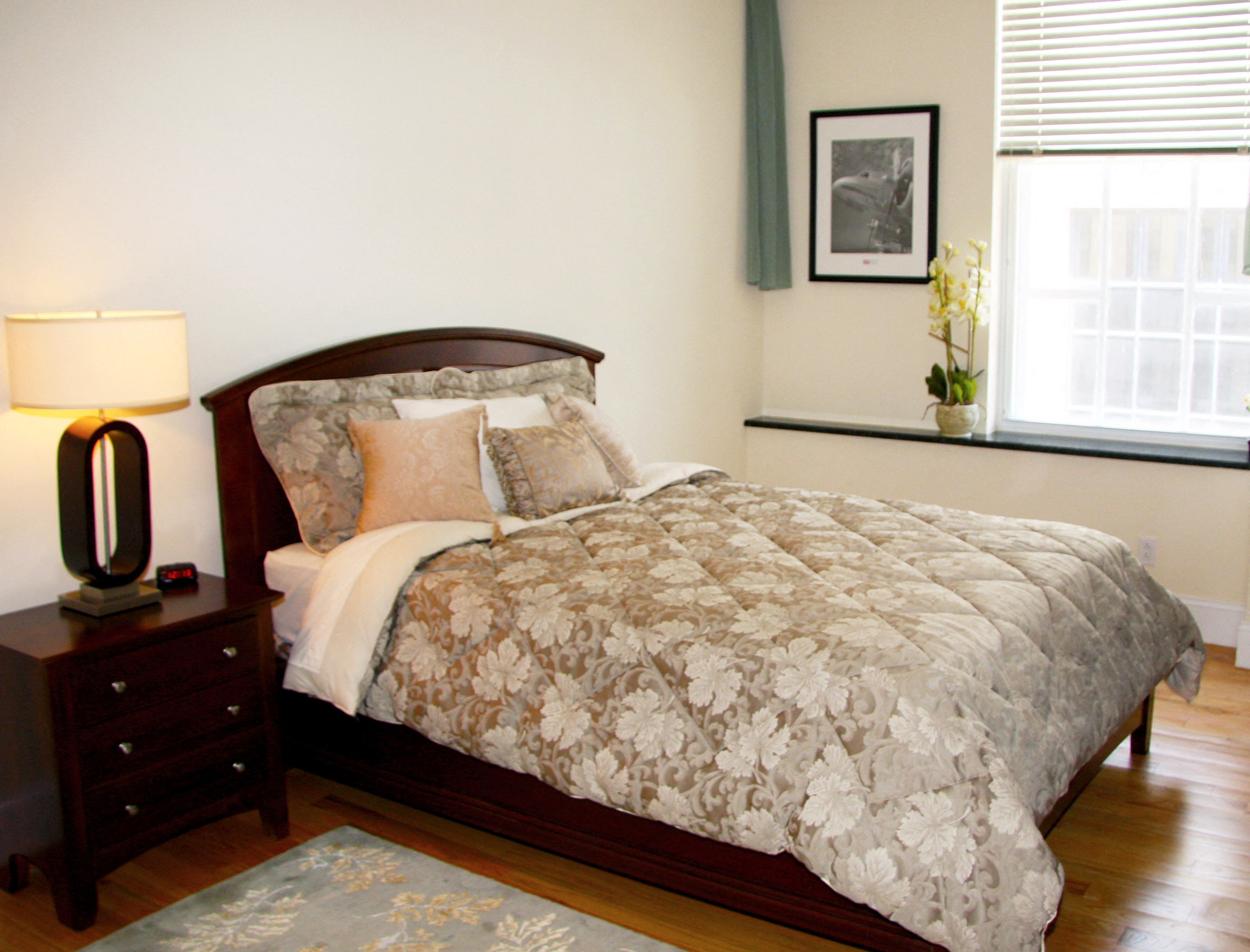 227 Church St. Studio-3 Beds Apartment for Rent - Photo Gallery 109