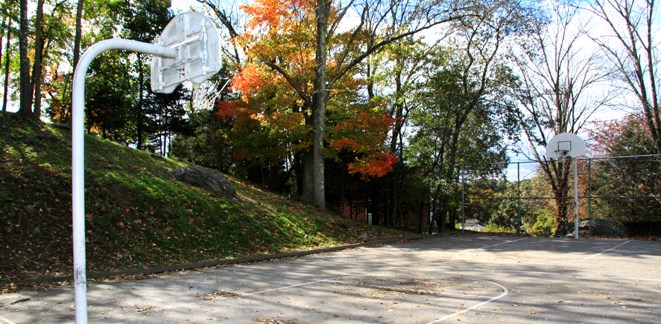 a basketball hoop on the side of a road in a park