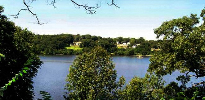 a body of water surrounded by trees