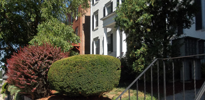 a house with a staircase and some bushes and trees