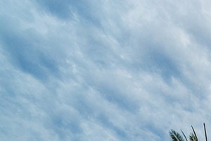 Orlando, FL Apartments | Lake Vue Apartments | Photo Gallery