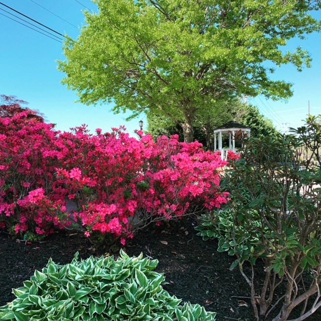 Mountain View gazebo.