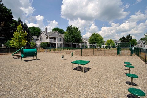 fenced-in dog park with agility equipment