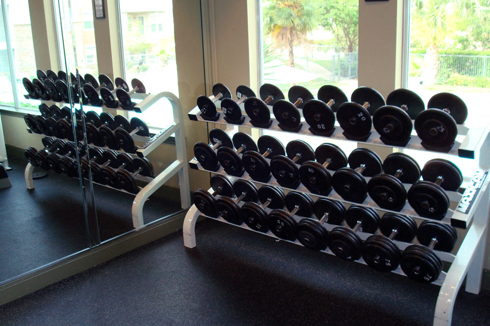 a rack of dumbbells in a gym