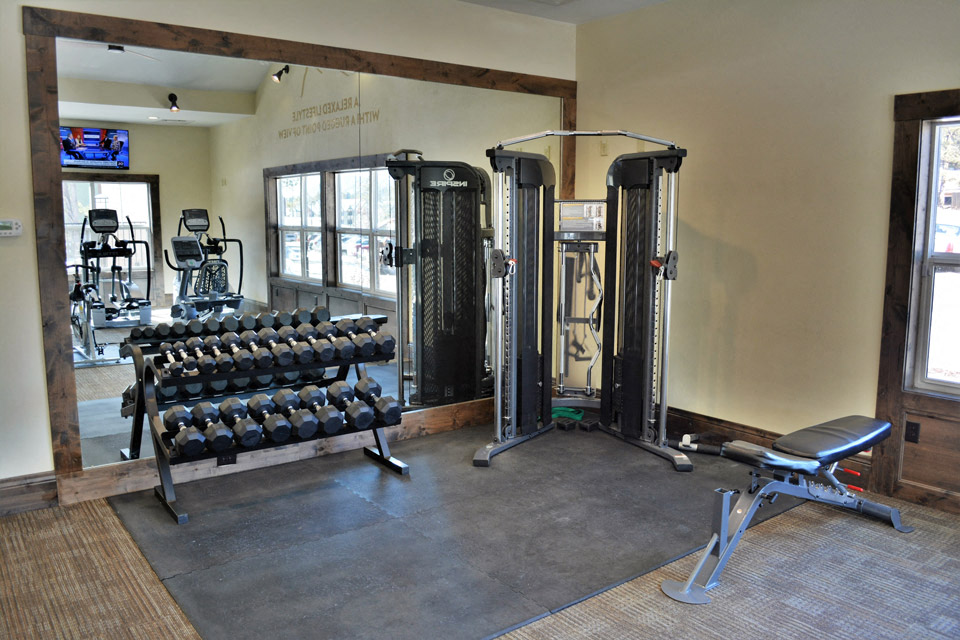a gym with weights and cardio equipment in a home gym