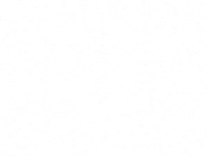 A1