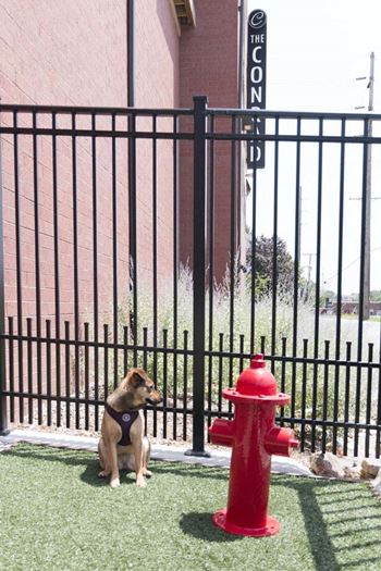 Small dog sitting on green turf next to red fire hydrant