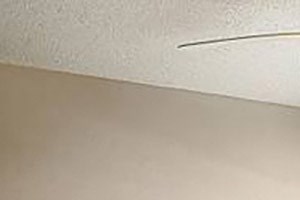 bedroom with fan
